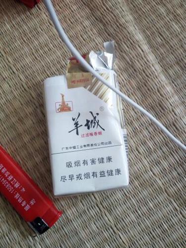 6元羊城香烟批发，性价比之选，让您轻松享受烟民生活
